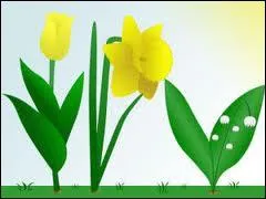 On connat le printemps astronomique, le printemps mtorologique mais qu'est-ce donc que le printemps calendaire ? C'est la date du dbut du printemps...