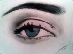 Il regardait Can, mais o tait-il ?