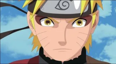 Naruto a-t-il gagn ?