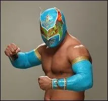 Quel est ce catcheur ?