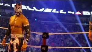 Quel est ce catcheur ?