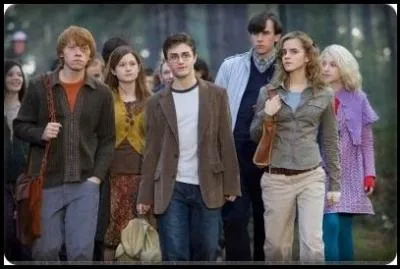 Combien y a-t-il eu de films ?