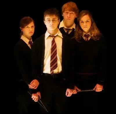 Qui joue Harry Potter ?