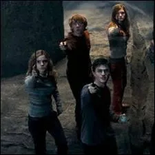 Par qui Sirius Black a-t-il t tu ?