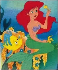 Comment s'appelle son ami le petit poisson ?