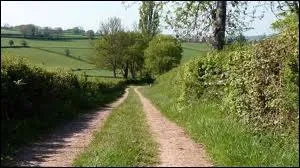 (Note : questions 6  15, il faudra trouver l'expression par rapport  la signification) Recommencer avec ardeur (et navet) ...