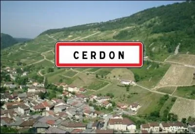 Dans l'Ain, sur dix communes autour du village de Cerdon qui lui a donn son nom, le vignoble du Bugey produit un vin mousseux issu des cpages gamay et poulsard. C'est un vin...