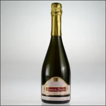 Le Gaillac est un vin blanc mousseux, produit par un vignoble rput pour tre le plus ancien de France. Dans quelle rgion viticole est-il labor ?