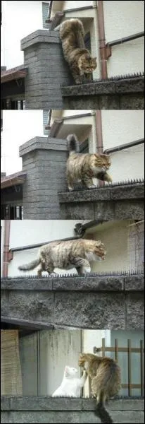 C'est le mot qui s'impose !