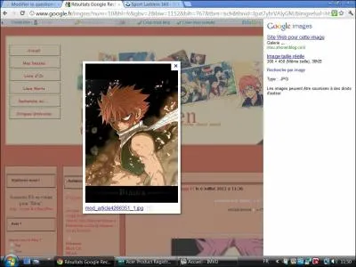 Luffy est dans quel manga ?