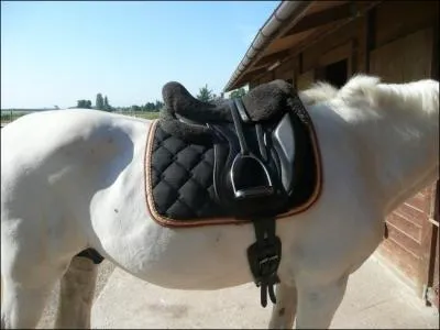 Quel accessoire voit-on sur la photo ?