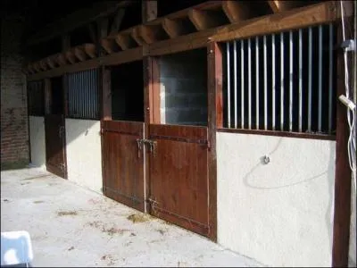 O vivent principalement les chevaux ?