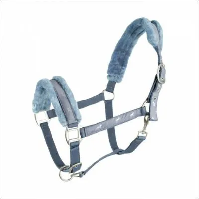 Quel nom porte l'accessoire en photo ?