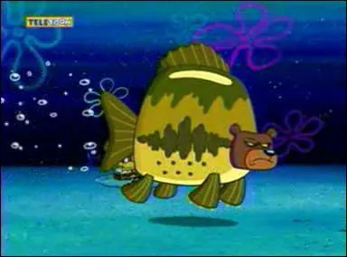 Toutes ces consignes doivent tre respectes afin de ne pas attirer d'ours des mers, sauf une. Laquelle ?