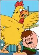 Qui le poulet sur la photo ?