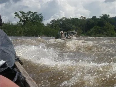 Quel oiseau peut survoler cette rivire amazonienne ?