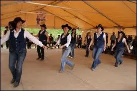 Quelle chanteuse a interprété ''Le Folklore américain'' dans les années 60 ?