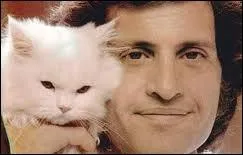 ''Nous marchions sur une plage un peu comme celle-ci / C'était l'automne, un automne où il faisait beau / Une saison qui n'existe que dans -------- de l'Amérique''