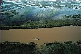 ''---------- c'est l´Amérique / Pour tous ceux qui aiment la vérité / Il connaît les merveilles / Qui sont dans la forêt / Les chemins les rivières et les sentiers'' (Générique TV)