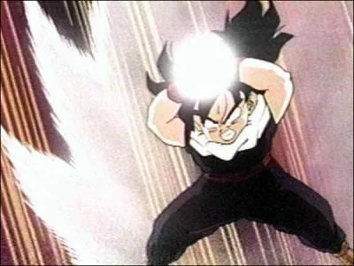 Comment s'appelle cette attaque ?