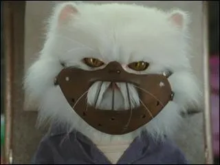 Dans quel film apparat Chat Lecter ?