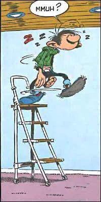 Comme son nom l'indique, Gaston est aussi...