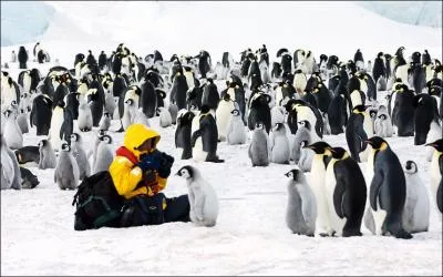 Tous ensemble, sous la garde des parents !