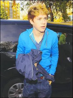 Qu'adore faire Niall ?