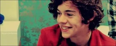 Qu'adore faire Harry ?