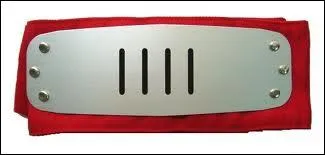 De quel village provient ce bandeau ?