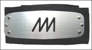 De quel village provient ce bandeau ?