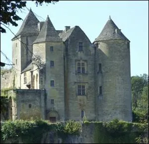 Bti au XII me et XIII me sicle, cet difice possde un corps de logis par de remarquables fentres  meneaux . Situ sur un peron rocheux, il domine le village du mme