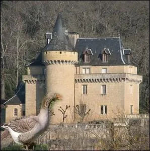 Et pour terminer ce quizz ! Quelle spcialit gastronomique peut-on associer  ces chteaux prigordins ?