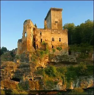 Pour quelle raison principale; comme ce chteau de Commarque prs des Eyzies-de-Tayac, ont t construit ces chteaux ?