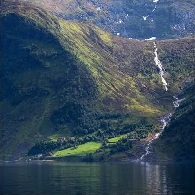 Cet oiseau peut survoler cet endroit montagneux et froid !