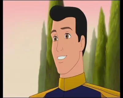 Que va faire la belle mre pour que le prince pouse sa fille ?