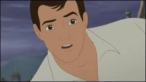 Que fait le prince ?