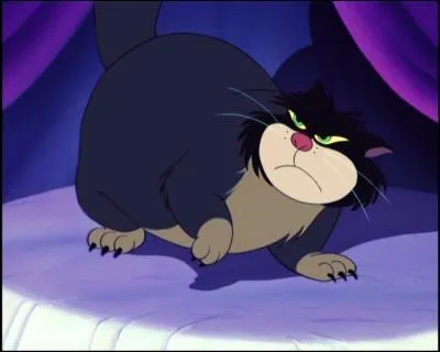 Comment s'appelle ce chat ?