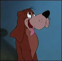 Comment s'appelle ce chien ?