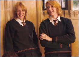 Lequel de Fred ou George meurt ?