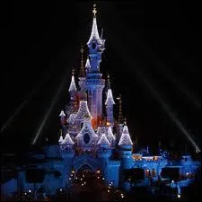 La princesse sombre dans un sommeil profond . Combien de temps la maldiction doit-elle durer ?