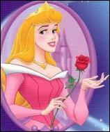 Quel est le nom de la jolie princesse de ce dessin anim Disney ?