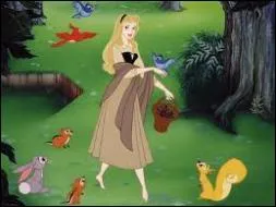 Pour se protger du mauvais sort lanc par la sorcire , la princesse passe son enfance cache dans une chaumire au milieu de la fort avec les fes marraines. Comment se fait-elle appeler ?