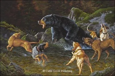 Les chiens prennent des risques  l'affronter !