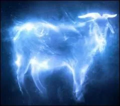 A qui appartient ce Patronus ?