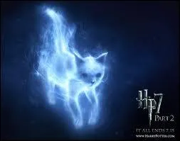 A qui appartient ce Patronus ?