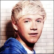 Avec quelle star Niall aimerait-il sortir ?