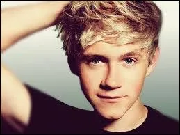 Avant que Harry ne propose One Direction, Niall avait propos un autre nom pour le groupe, lequel ?