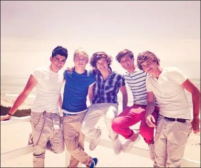 Qui a des origines pakistanaise dans le groupe ?