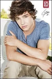 A quel ge Liam a-t-il auditionn pour la premire fois  X-Factor ?